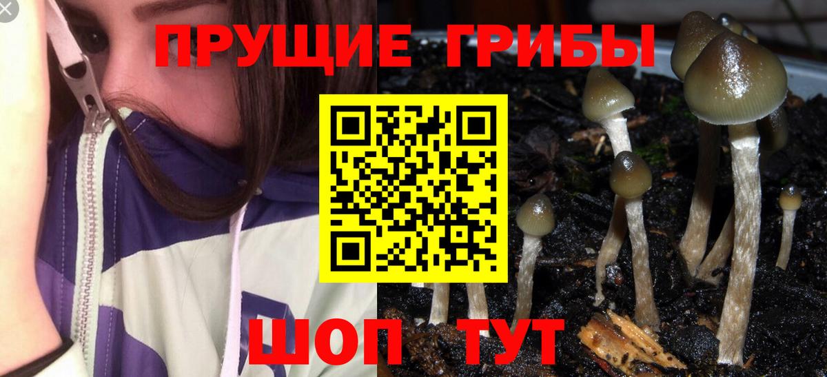 Жигулёвск  Псилоцибиновые грибы ЛСД  Вход с VPN  Псилоцибиновые грибы мухоморы 